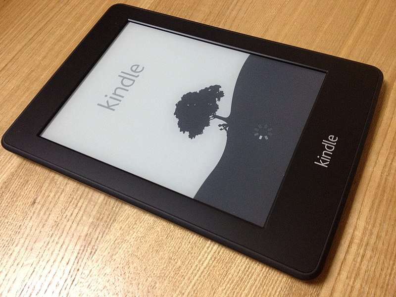 How To Fix A Kindle Paperwhite Stuck On Tree Screen? - TechysMag